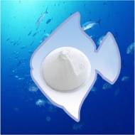 魚皮膠原蛋白